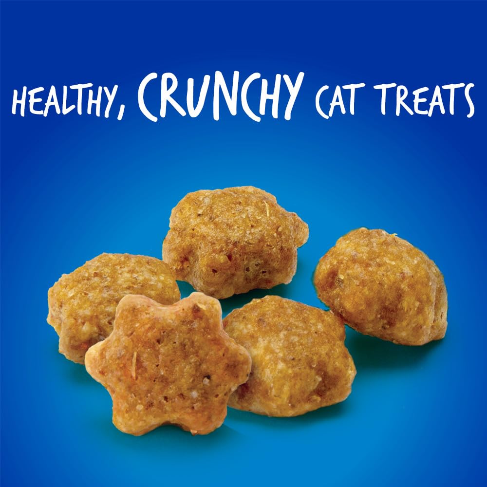 Fruitables Cat Treats, Healthy Treats For Cats, Low Calorie and Packed with Protein, Crunchy Biscuits, No Wheat, Corn or Soy, Made with Real Salmon and Cranberry, 2.5oz