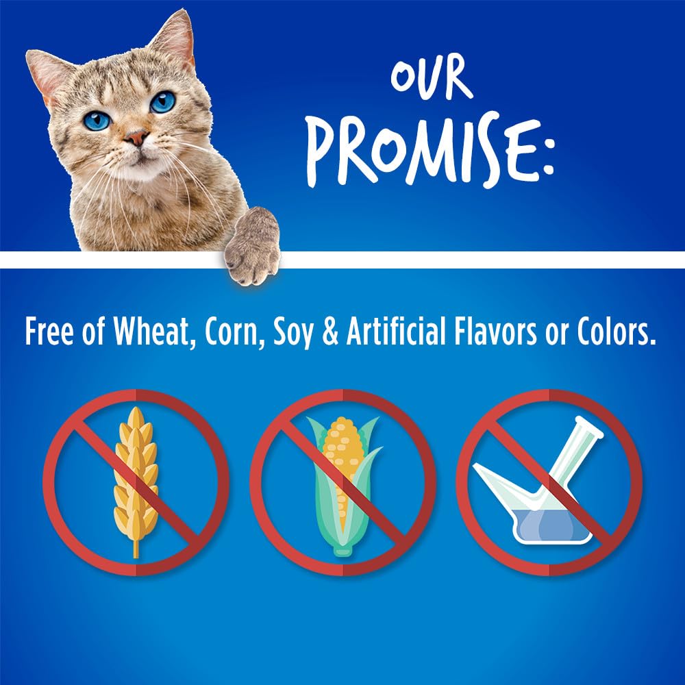 Fruitables Cat Treats, Healthy Treats For Cats, Low Calorie and Packed with Protein, Crunchy Biscuits, No Wheat, Corn or Soy, Made with Real Salmon and Cranberry, 2.5oz