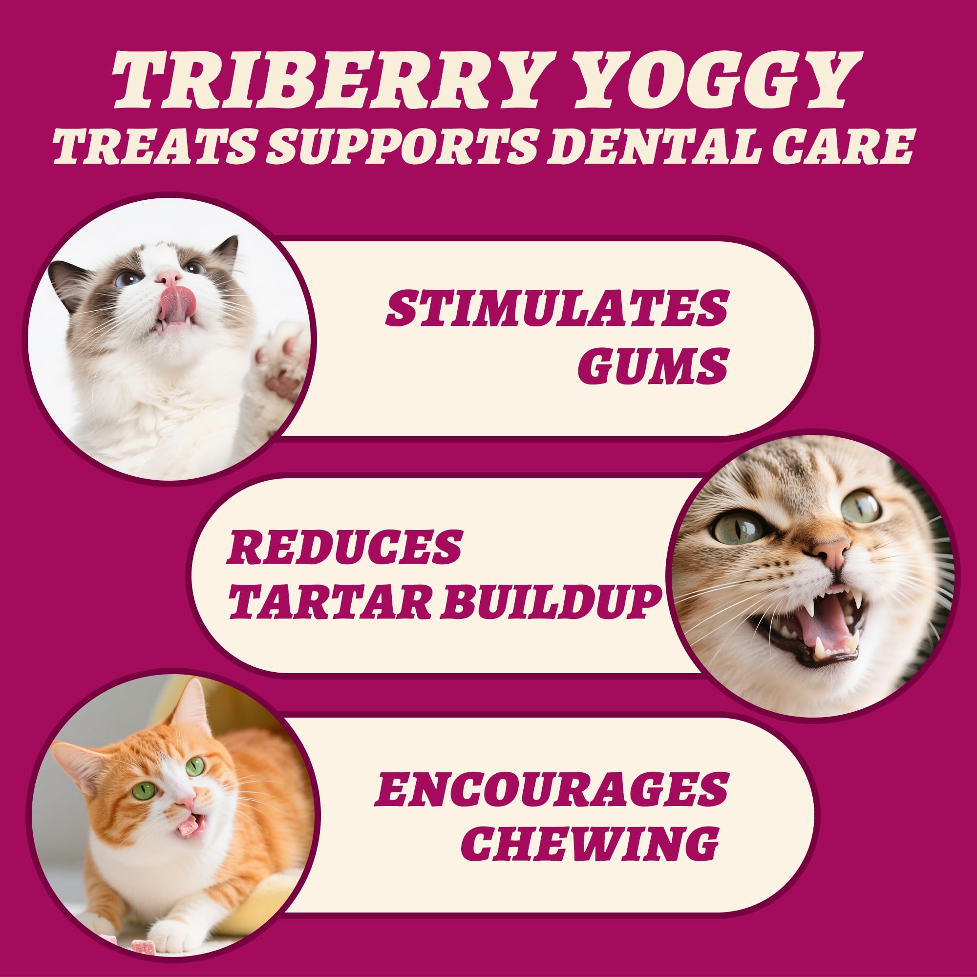 Wellix Freeze-Dried Treats for Dogs and Cats - Cat Grass, Dragon Fruit, Goat Milk Flavor 21pcs, Lollipop Healthy Cat Treats, Chicken Recipe Cat Treats, Low Calorie Training Treats