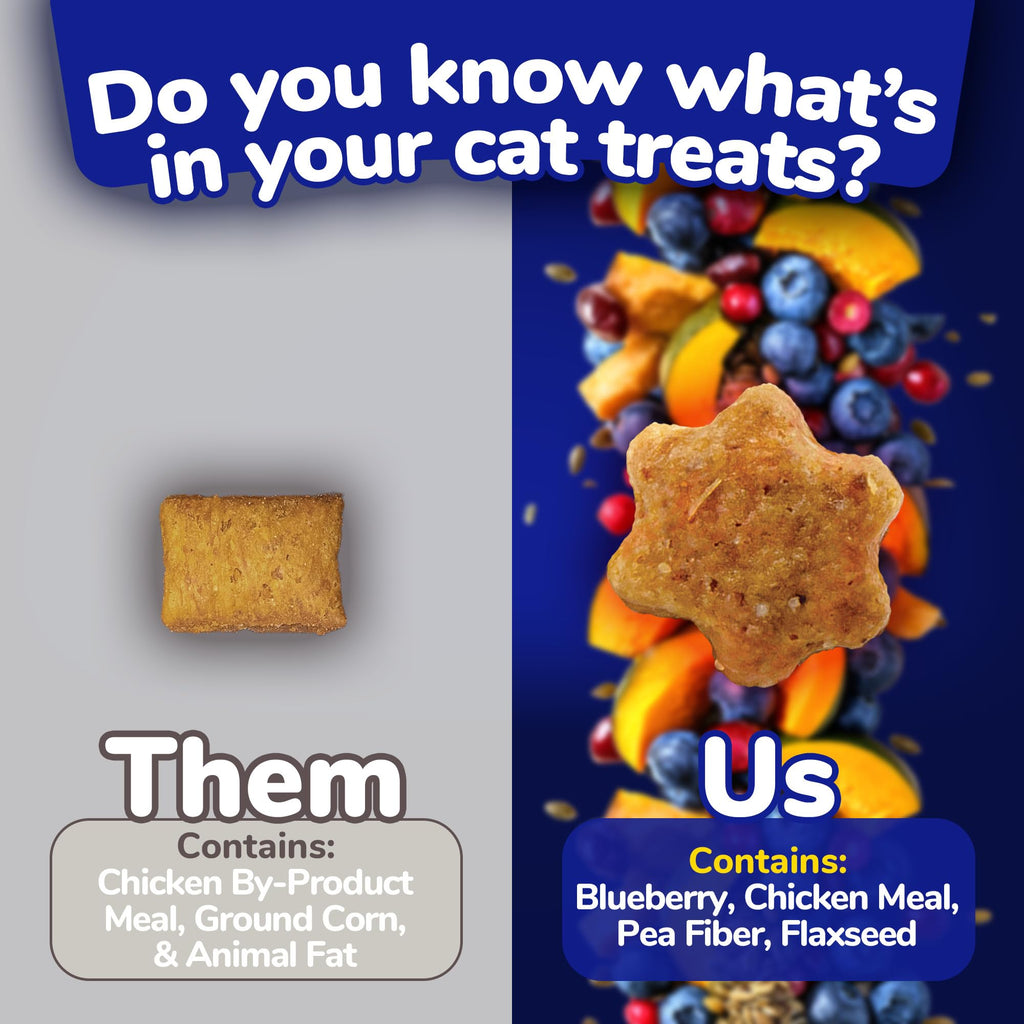 Fruitables Cat Treats, Healthy Treats For Cats, Low Calorie and Packed with Protein, Crunchy Biscuits, No Wheat, Corn or Soy, Made with Real Salmon and Cranberry, 2.5oz