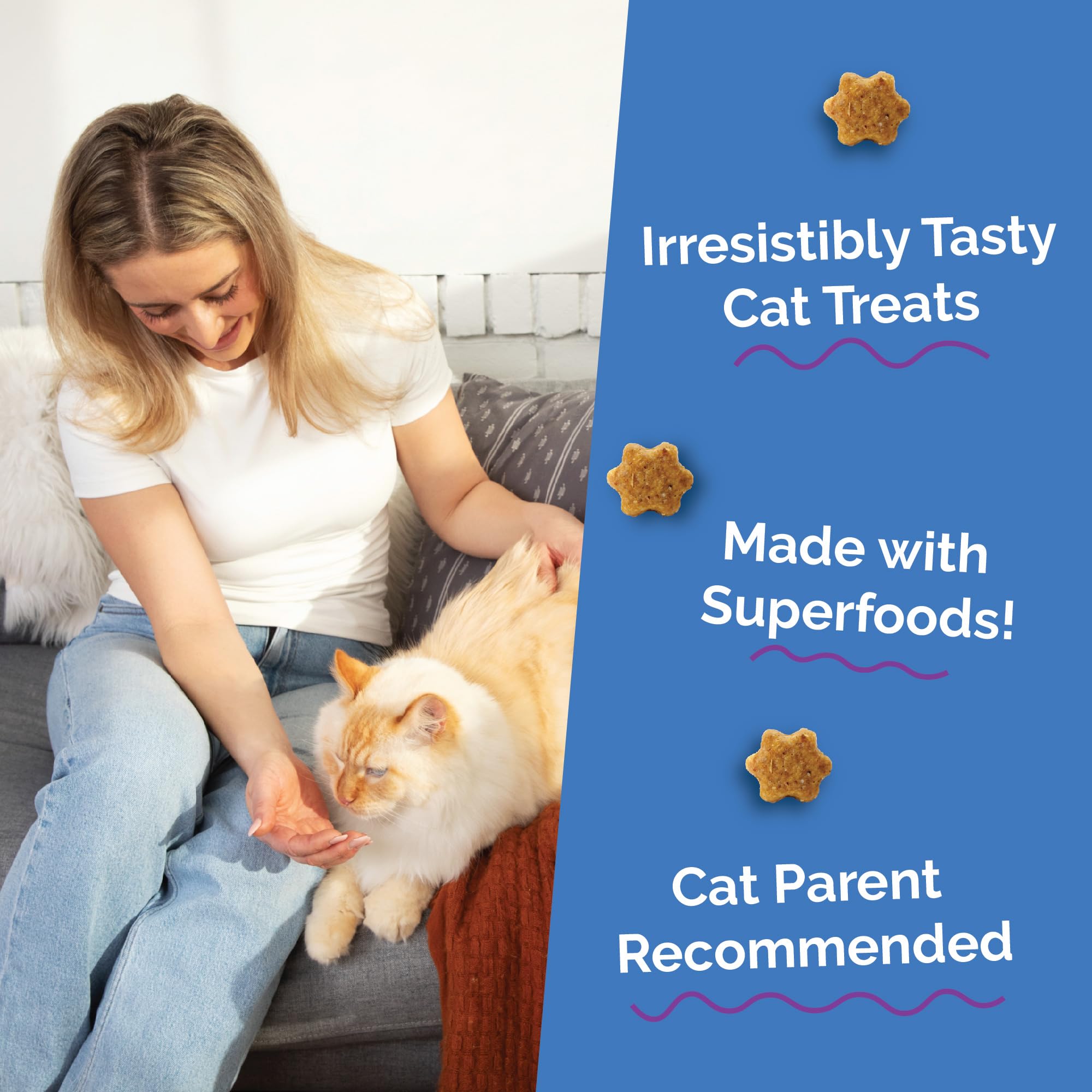 Fruitables Cat Treats, Healthy Treats For Cats, Low Calorie and Packed with Protein, Crunchy Biscuits, No Wheat, Corn or Soy, Made with Real Salmon and Cranberry, 2.5oz
