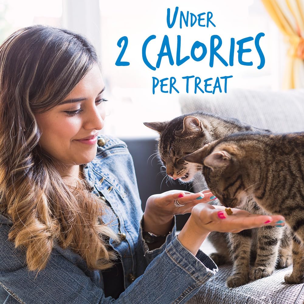 Fruitables Cat Treats, Healthy Treats For Cats, Low Calorie and Packed with Protein, Crunchy Biscuits, No Wheat, Corn or Soy, Made with Real Salmon and Cranberry, 2.5oz