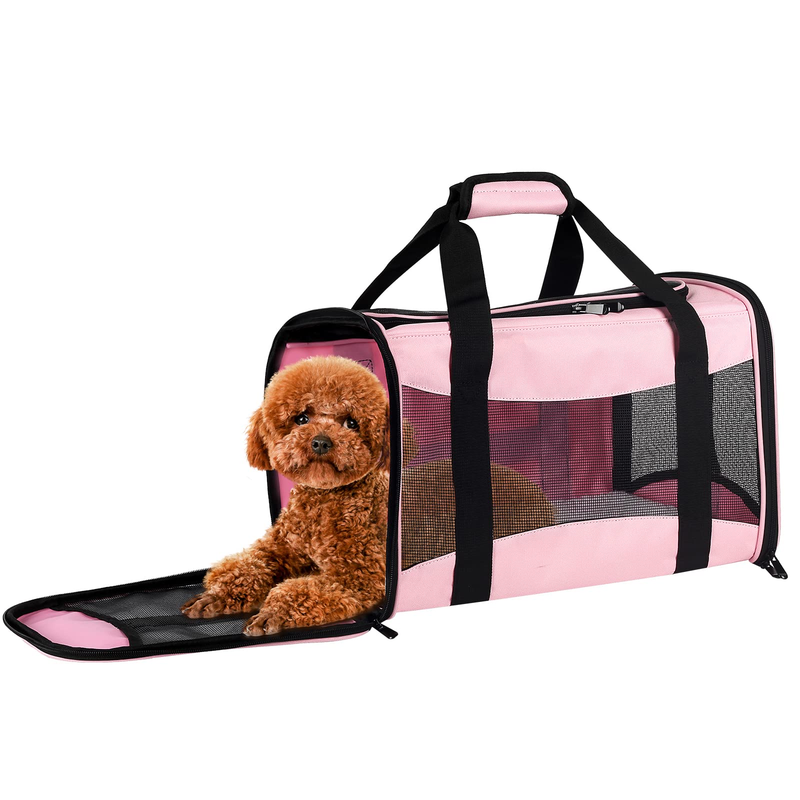 Cat Carrying Case Pet Dog Carrier Soft-Sided Cat Bag Airline Approved, Pet Travel Carrier Up to 15 Lbs, Collapsible Cats Carrier Dog Carrier for Medium Small Cats Dogs(17x11x11 Green)