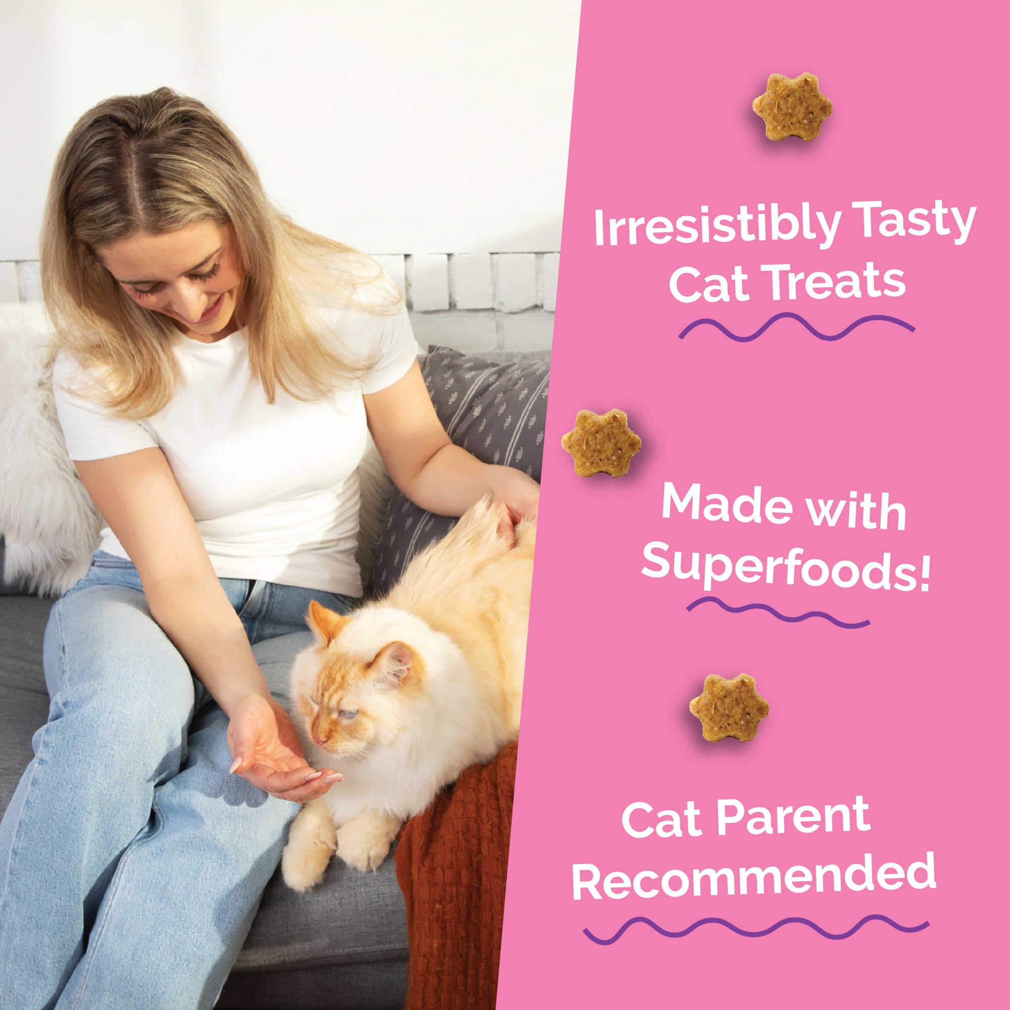 Fruitables Cat Treats, Healthy Treats For Cats, Low Calorie and Packed with Protein, Crunchy Biscuits, No Wheat, Corn or Soy, Made with Real Salmon and Cranberry, 2.5oz