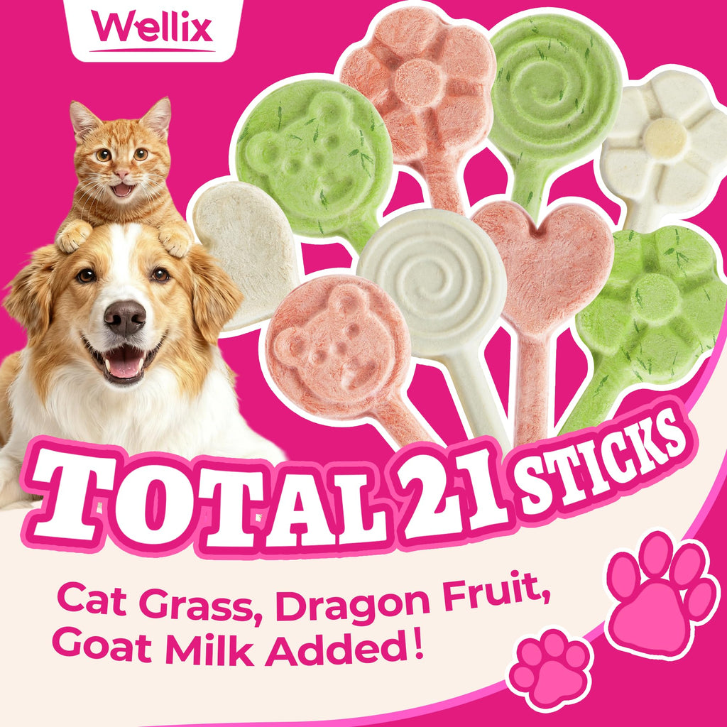 Wellix Freeze-Dried Treats for Dogs and Cats - Cat Grass, Dragon Fruit, Goat Milk Flavor 21pcs, Lollipop Healthy Cat Treats, Chicken Recipe Cat Treats, Low Calorie Training Treats