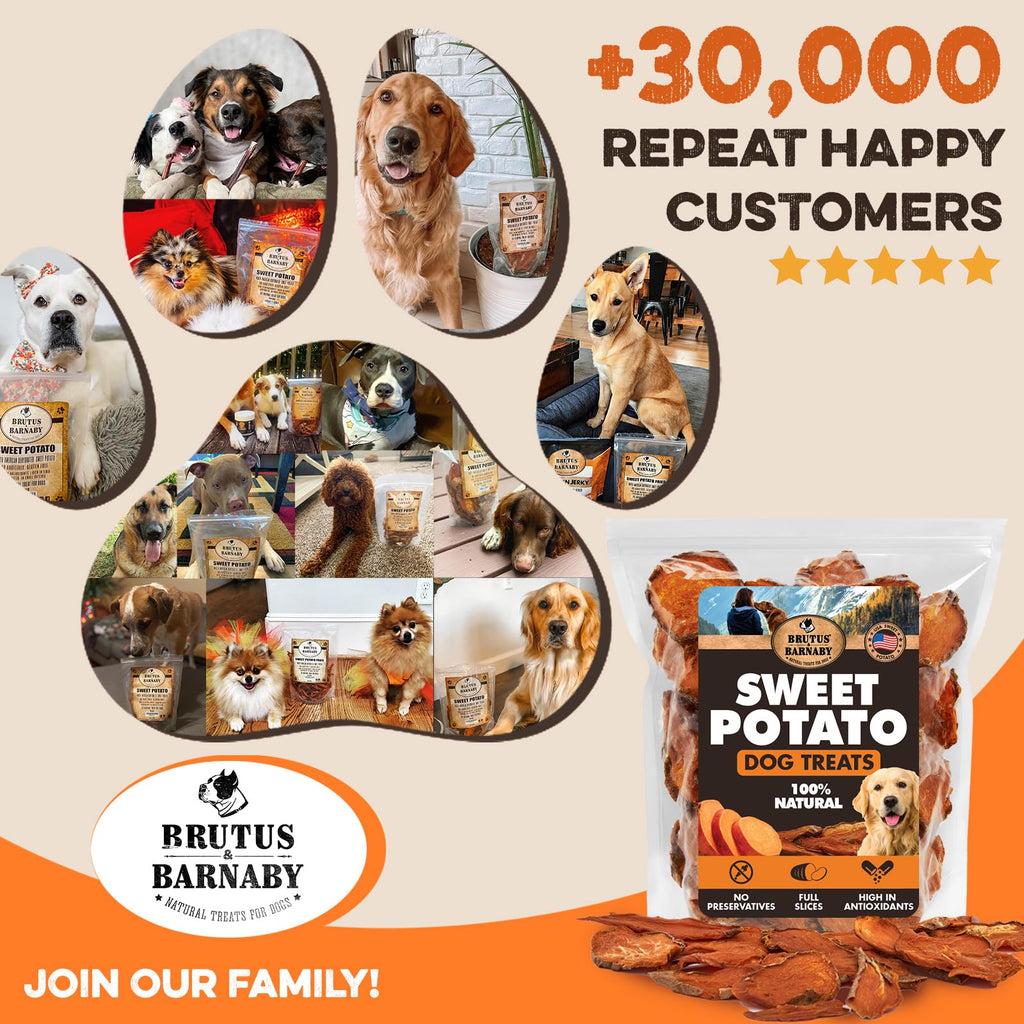 BRUTUS & BARNABY Sweet Potato Dog Treats – Support Sensitive Stomachs with USA-Grown, Hypoallergenic Treats that Smell as Good as They Taste