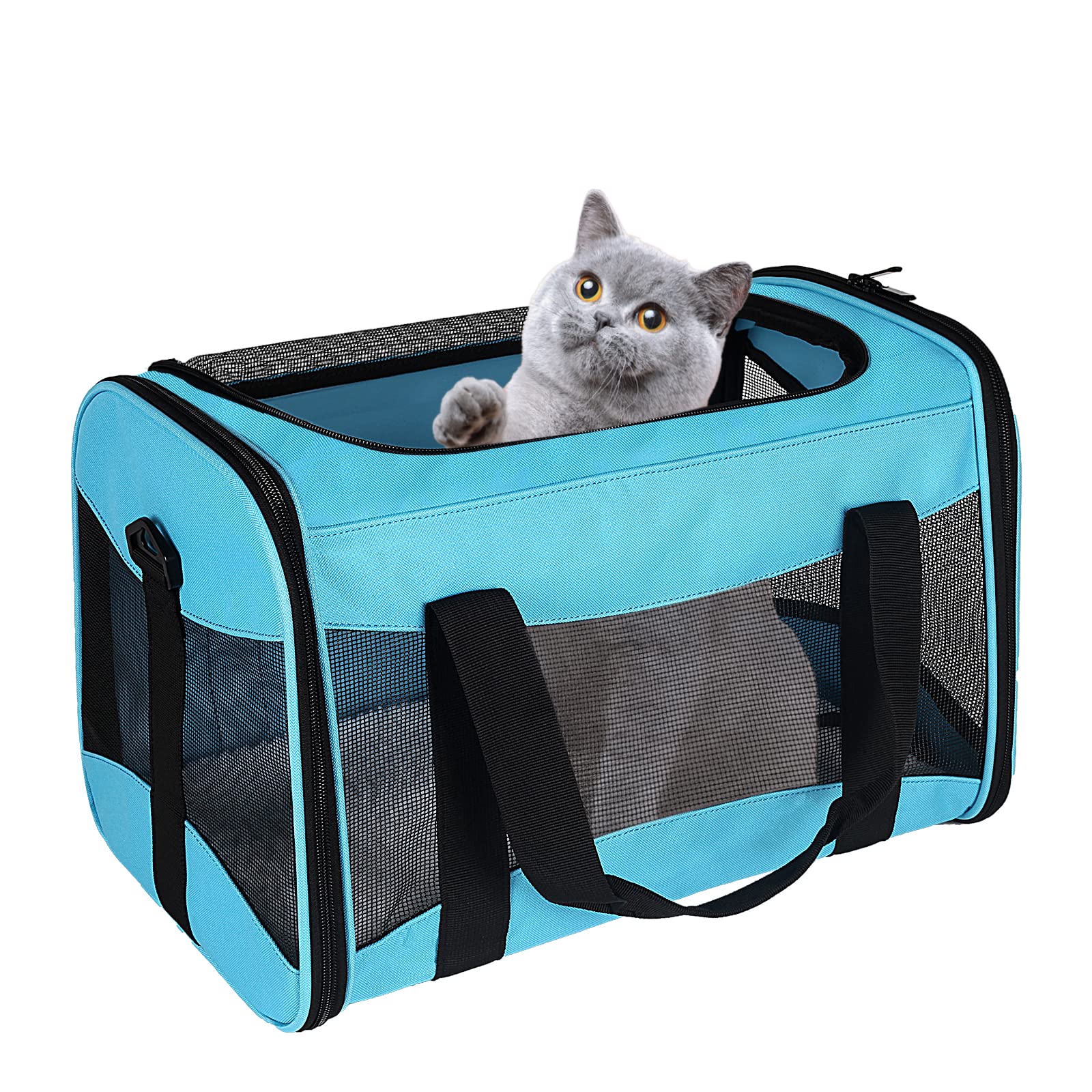 Cat Carrying Case Pet Dog Carrier Soft-Sided Cat Bag Airline Approved, Pet Travel Carrier Up to 15 Lbs, Collapsible Cats Carrier Dog Carrier for Medium Small Cats Dogs(17x11x11 Green)