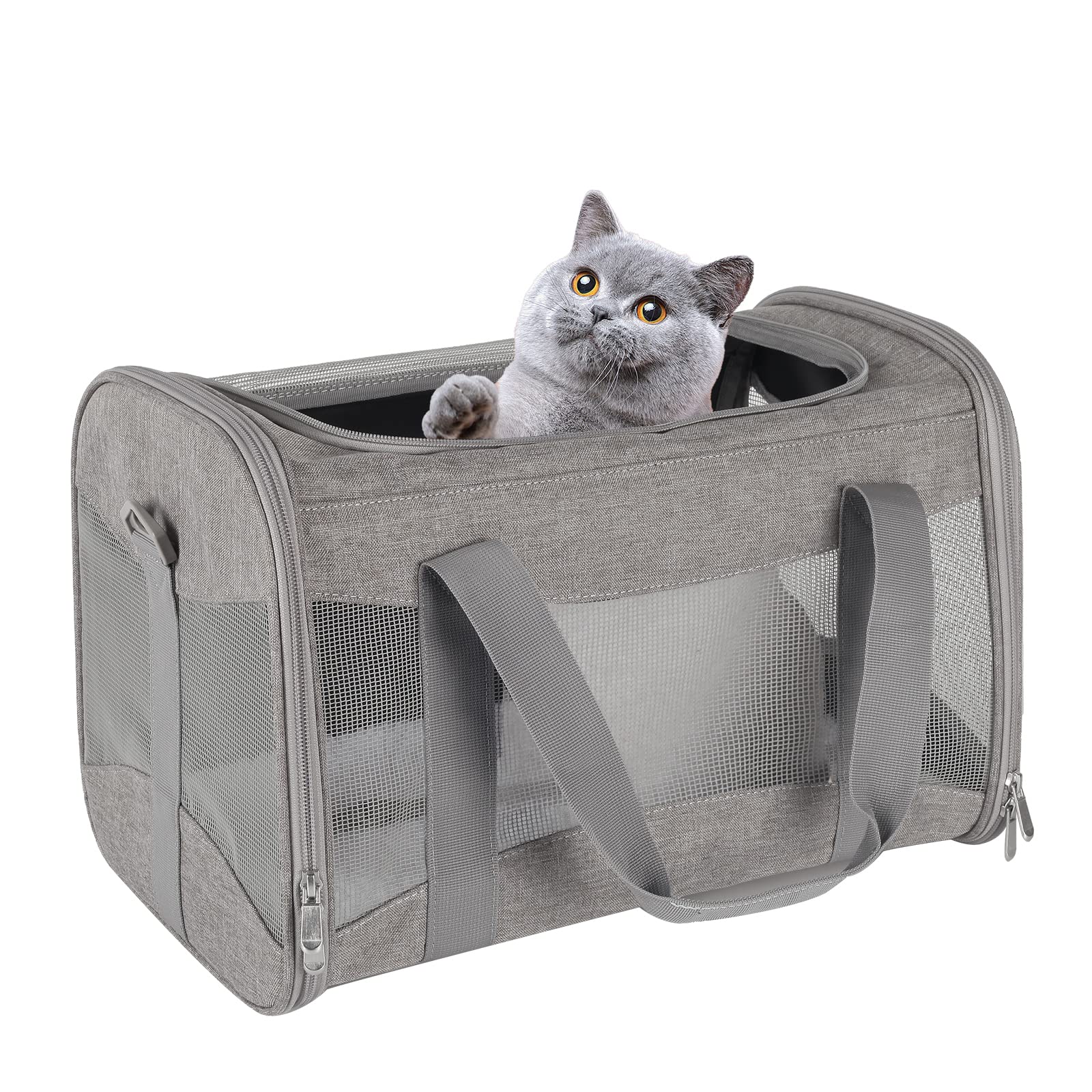 Cat Carrying Case Pet Dog Carrier Soft-Sided Cat Bag Airline Approved, Pet Travel Carrier Up to 15 Lbs, Collapsible Cats Carrier Dog Carrier for Medium Small Cats Dogs(17x11x11 Green)