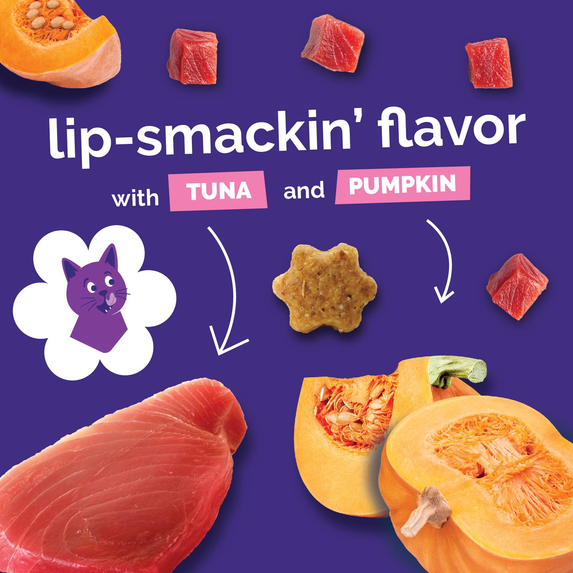 Fruitables Cat Treats, Healthy Treats For Cats, Low Calorie and Packed with Protein, Crunchy Biscuits, No Wheat, Corn or Soy, Made with Real Salmon and Cranberry, 2.5oz