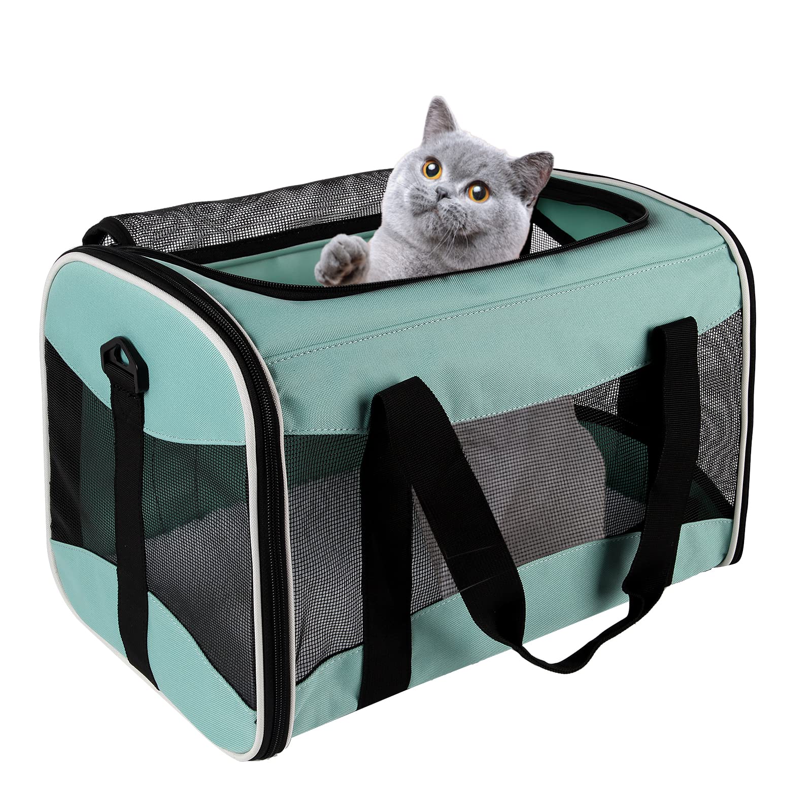Cat Carrying Case Pet Dog Carrier Soft-Sided Cat Bag Airline Approved, Pet Travel Carrier Up to 15 Lbs, Collapsible Cats Carrier Dog Carrier for Medium Small Cats Dogs(17x11x11 Green)