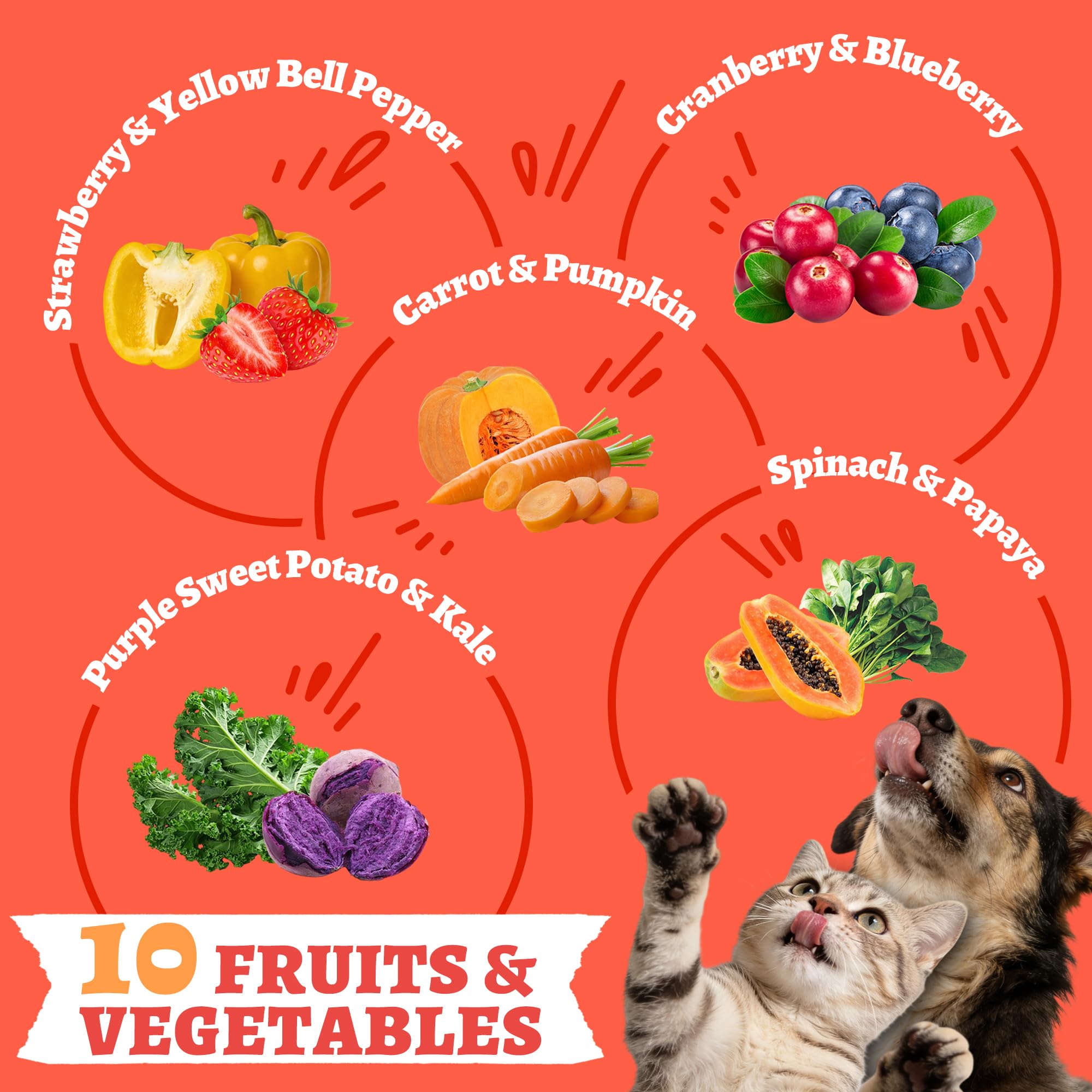 Wellix Freeze-Dried Treats for Dogs and Cats - Cat Grass, Dragon Fruit, Goat Milk Flavor 21pcs, Lollipop Healthy Cat Treats, Chicken Recipe Cat Treats, Low Calorie Training Treats