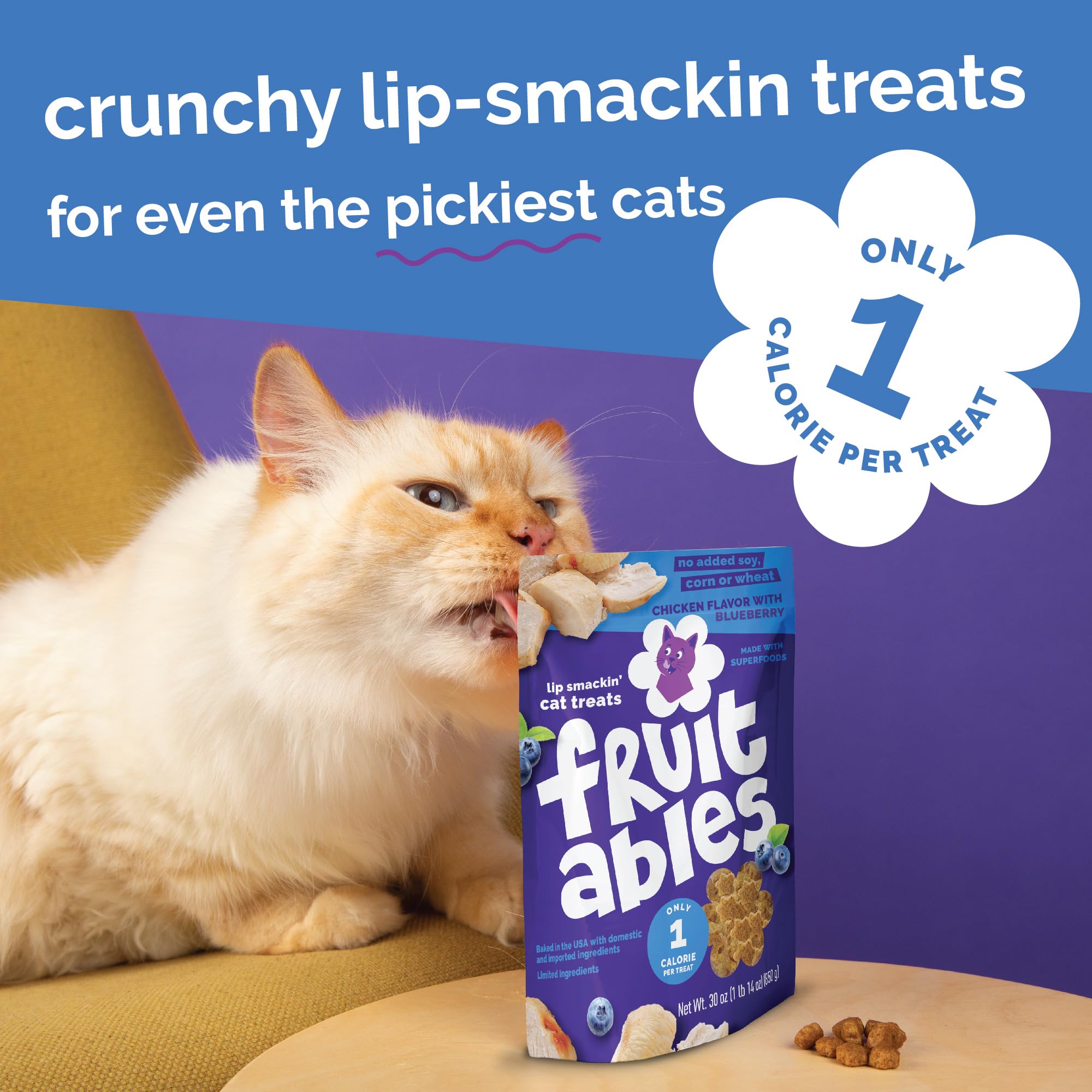 Fruitables Cat Treats, Healthy Treats For Cats, Low Calorie and Packed with Protein, Crunchy Biscuits, No Wheat, Corn or Soy, Made with Real Salmon and Cranberry, 2.5oz
