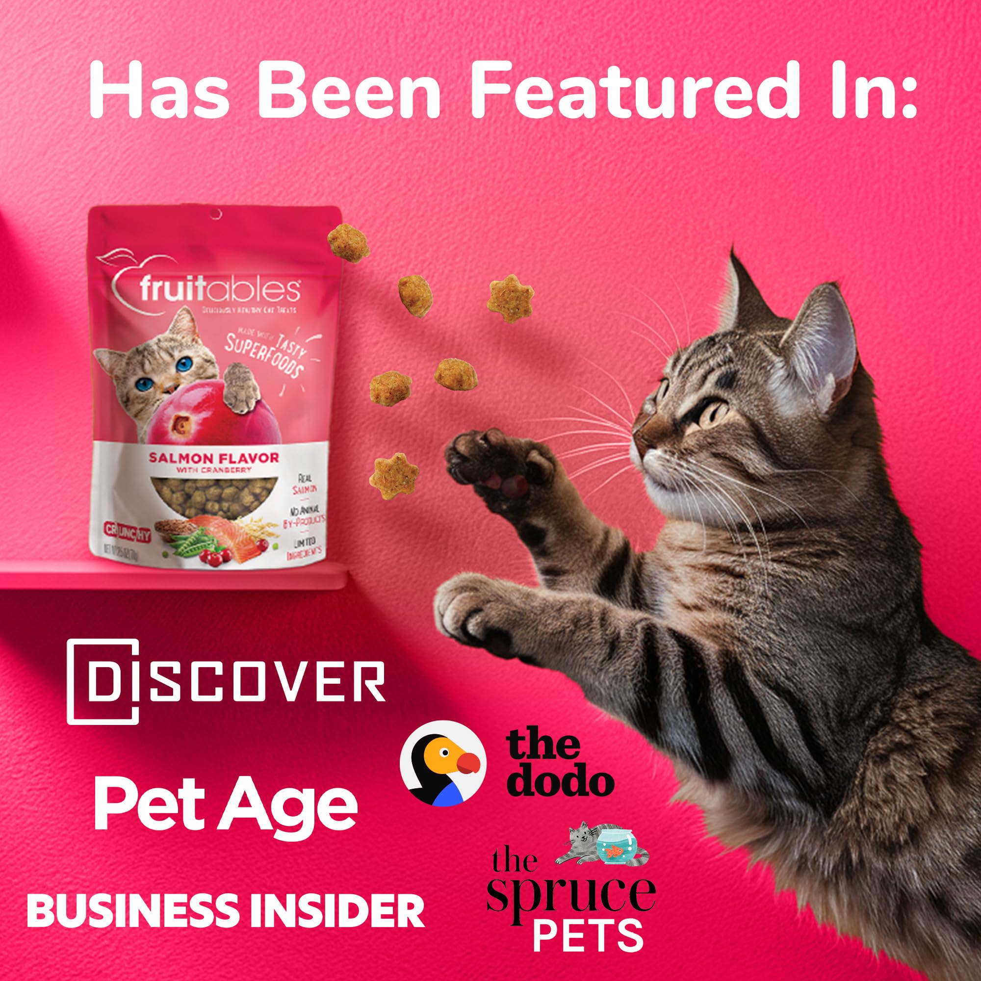 Fruitables Cat Treats, Healthy Treats For Cats, Low Calorie and Packed with Protein, Crunchy Biscuits, No Wheat, Corn or Soy, Made with Real Salmon and Cranberry, 2.5oz