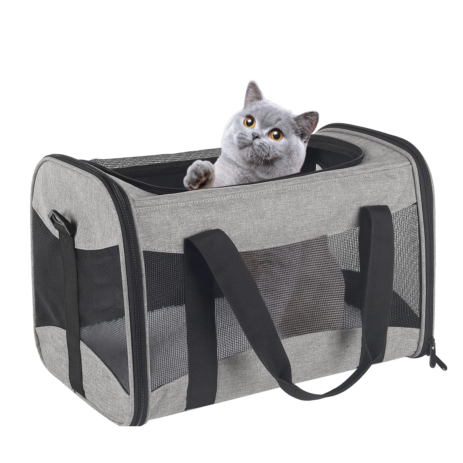 Cat Carrying Case Pet Dog Carrier Soft-Sided Cat Bag Airline Approved, Pet Travel Carrier Up to 15 Lbs, Collapsible Cats Carrier Dog Carrier for Medium Small Cats Dogs(17x11x11 Green)