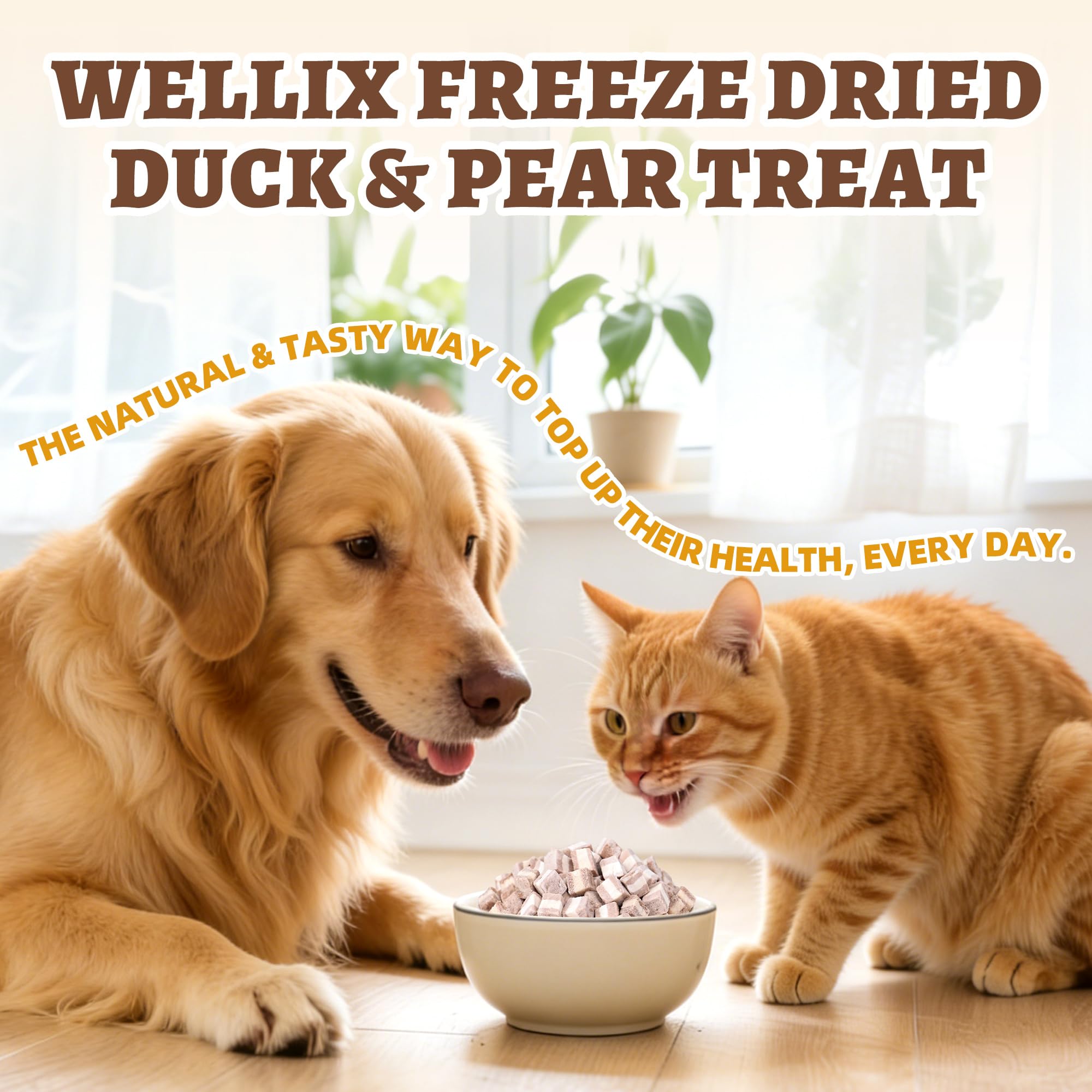 Wellix Freeze-Dried Treats for Dogs and Cats - Cat Grass, Dragon Fruit, Goat Milk Flavor 21pcs, Lollipop Healthy Cat Treats, Chicken Recipe Cat Treats, Low Calorie Training Treats