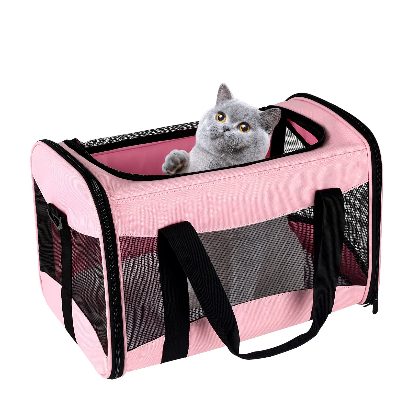 Cat Carrying Case Pet Dog Carrier Soft-Sided Cat Bag Airline Approved, Pet Travel Carrier Up to 15 Lbs, Collapsible Cats Carrier Dog Carrier for Medium Small Cats Dogs(17x11x11 Green)