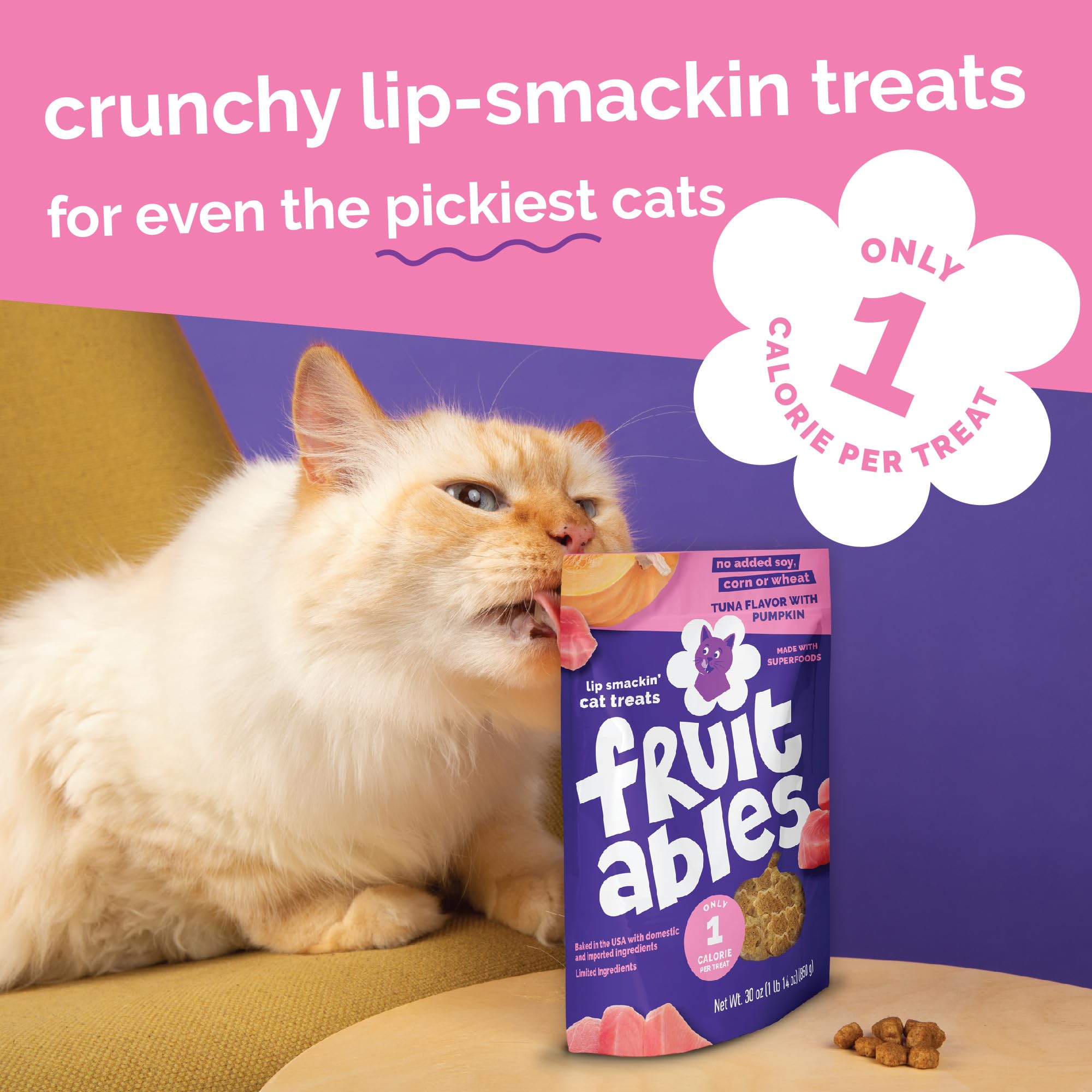 Fruitables Cat Treats, Healthy Treats For Cats, Low Calorie and Packed with Protein, Crunchy Biscuits, No Wheat, Corn or Soy, Made with Real Salmon and Cranberry, 2.5oz