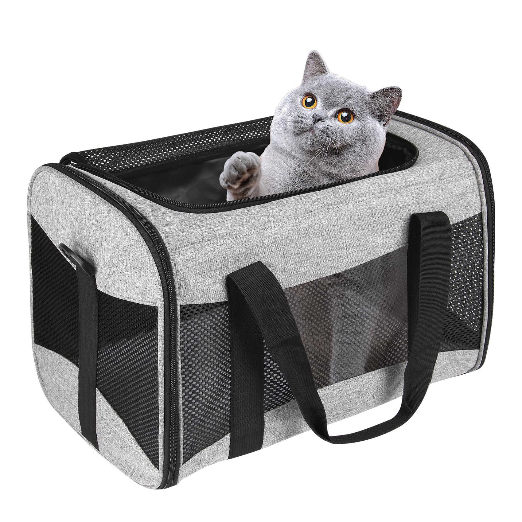 Cat Carrying Case Pet Dog Carrier Soft-Sided Cat Bag Airline Approved, Pet Travel Carrier Up to 15 Lbs, Collapsible Cats Carrier Dog Carrier for Medium Small Cats Dogs(17x11x11 Green)
