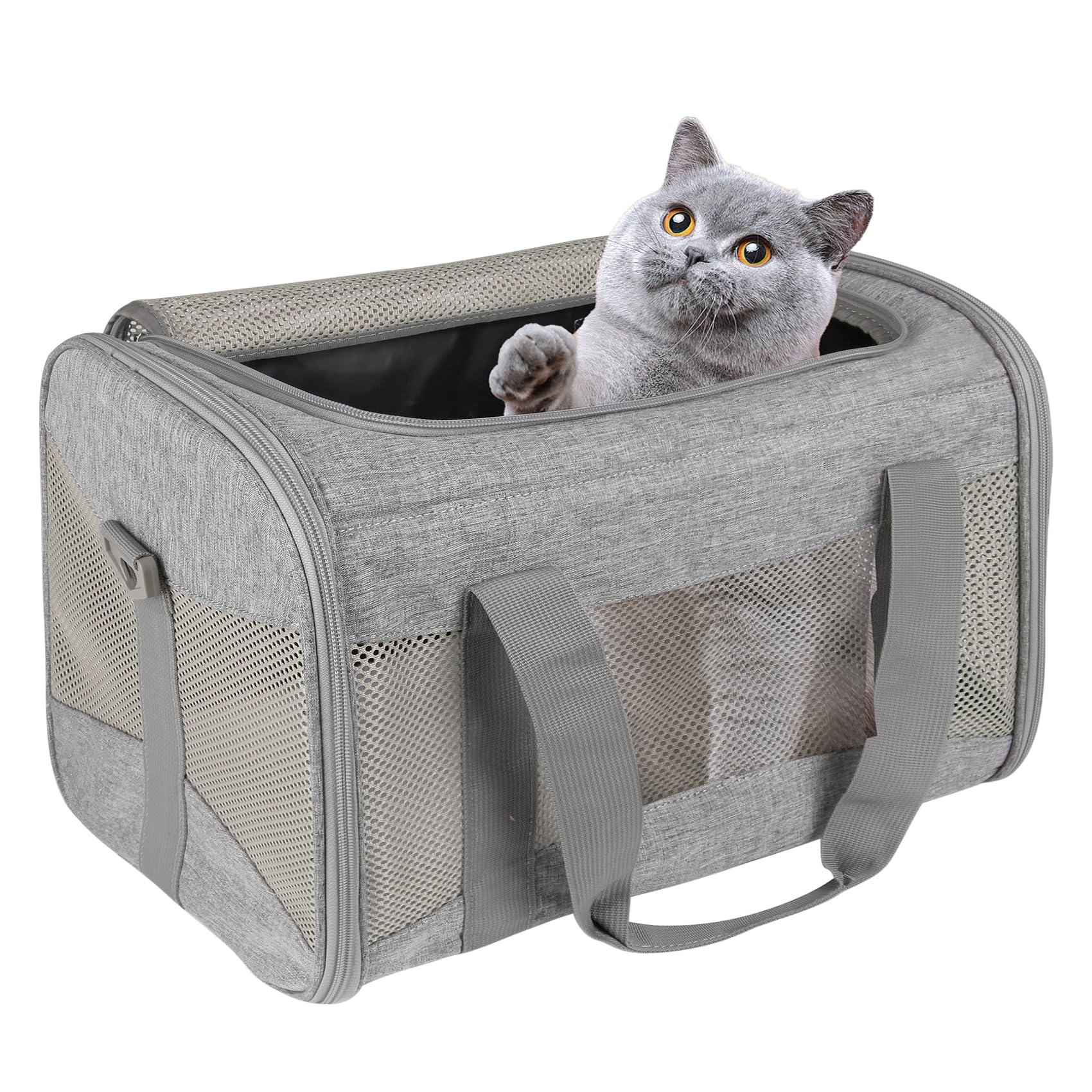 Cat Carrying Case Pet Dog Carrier Soft-Sided Cat Bag Airline Approved, Pet Travel Carrier Up to 15 Lbs, Collapsible Cats Carrier Dog Carrier for Medium Small Cats Dogs(17x11x11 Green)