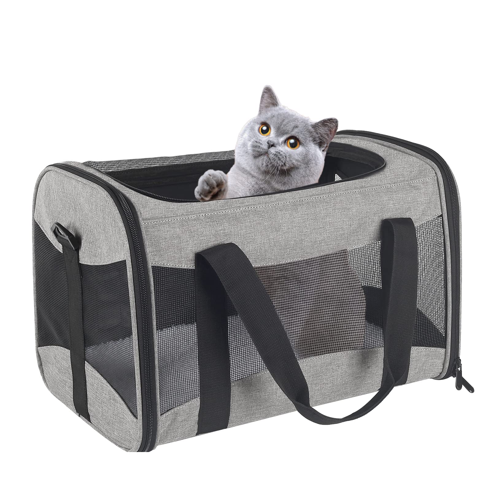Cat Carrying Case Pet Dog Carrier Soft-Sided Cat Bag Airline Approved, Pet Travel Carrier Up to 15 Lbs, Collapsible Cats Carrier Dog Carrier for Medium Small Cats Dogs(17x11x11 Green)