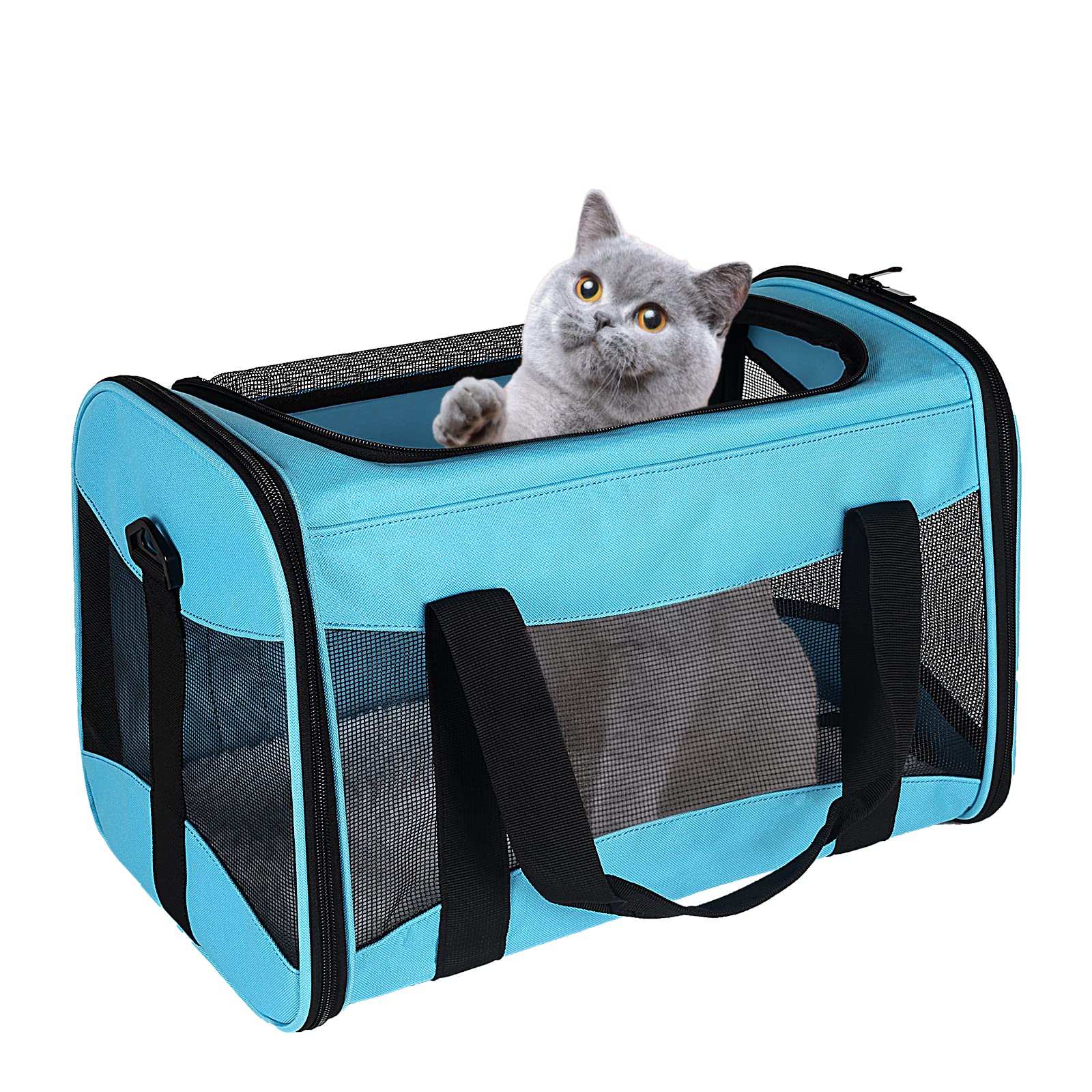 Cat Carrying Case Pet Dog Carrier Soft-Sided Cat Bag Airline Approved, Pet Travel Carrier Up to 15 Lbs, Collapsible Cats Carrier Dog Carrier for Medium Small Cats Dogs(17x11x11 Green)