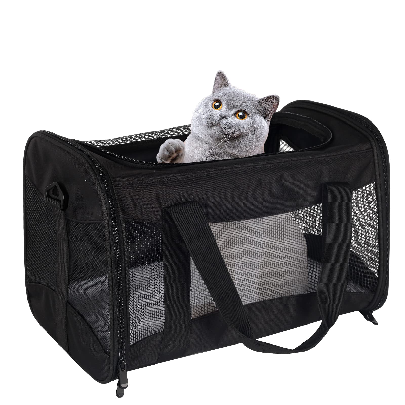 Cat Carrying Case Pet Dog Carrier Soft-Sided Cat Bag Airline Approved, Pet Travel Carrier Up to 15 Lbs, Collapsible Cats Carrier Dog Carrier for Medium Small Cats Dogs(17x11x11 Green)